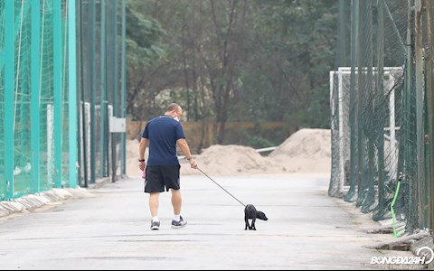HLV Park Hang Seo thư thái dắt chó đi dạo khi trở lại Việt Nam hình ảnh