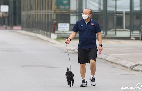 HLV Park Hang Seo thư thái dắt chó đi dạo khi trở lại Việt Nam hình ảnh