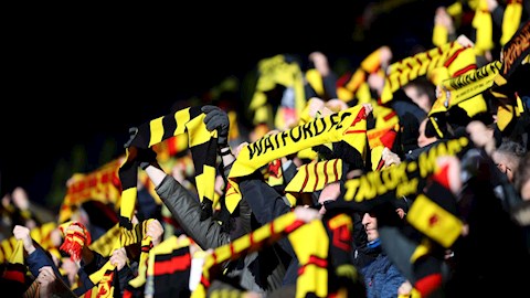 Watford phản đối thi đấu trên sân trung lập ở Premier League hình ảnh