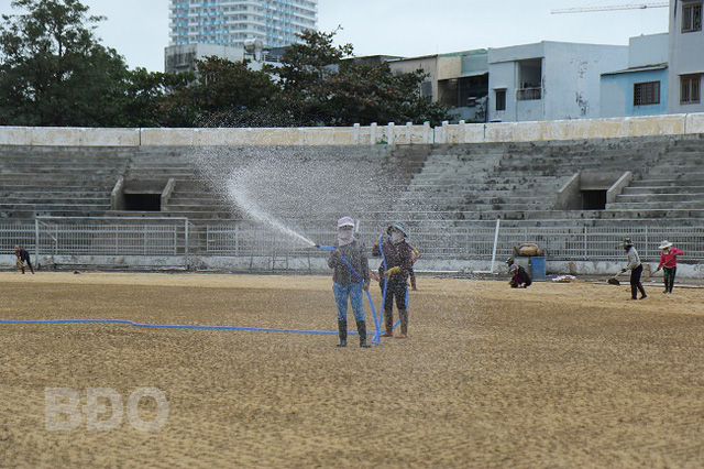 Mặt sân Quy Nhơn