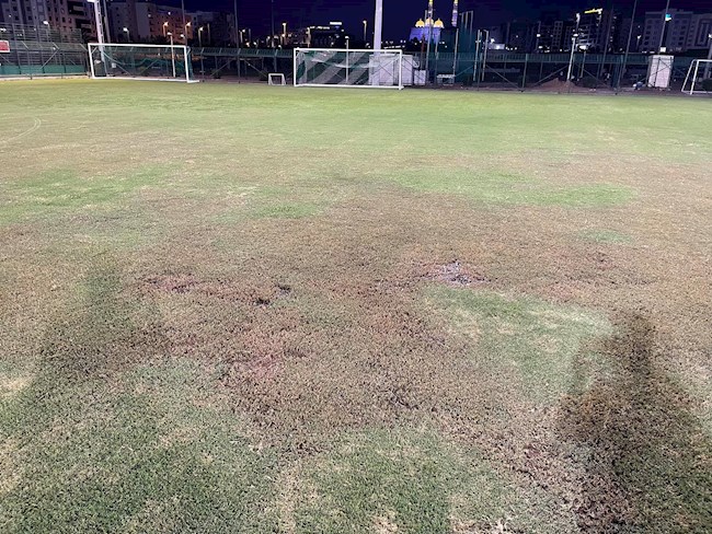 Mặt sân ĐT Việt Nam tập luyện tại Oman. Ảnh: Youtuber Tuyền Văn Hóa