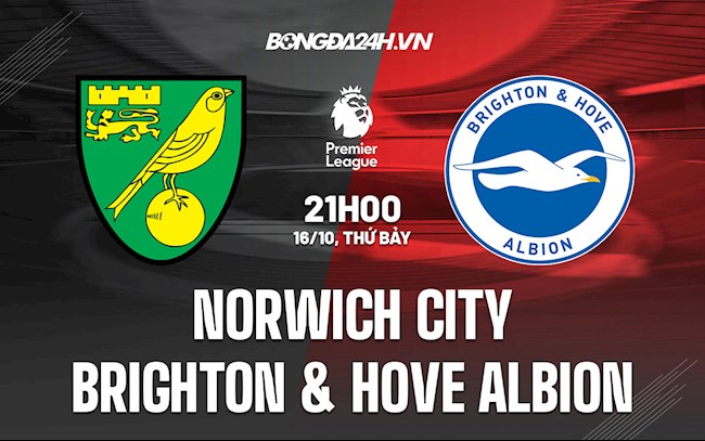 Norwich VS Brighton Norwich VS Brighton