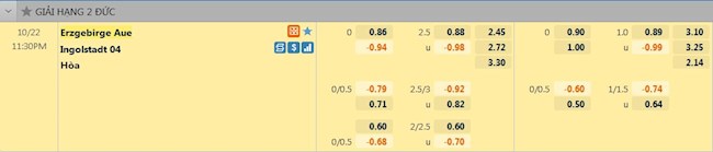 tỷ lệ tài xỉu Erzgebirge Aue vs Ingolstadt
