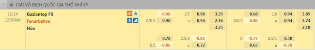 Tỷ lệ trận đấu Gaziantep vs Fenerbahce