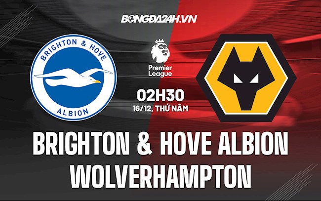 Brighton vs Wolves