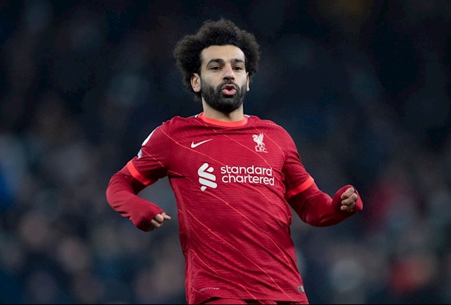 Mohamed Salah Mohamed Salah