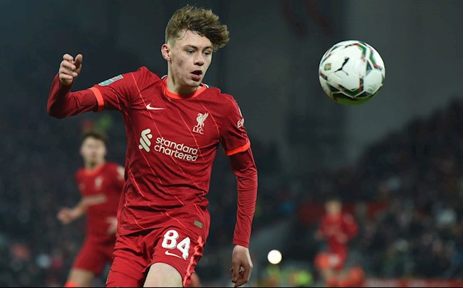 Tyler Morton Tyler Morton