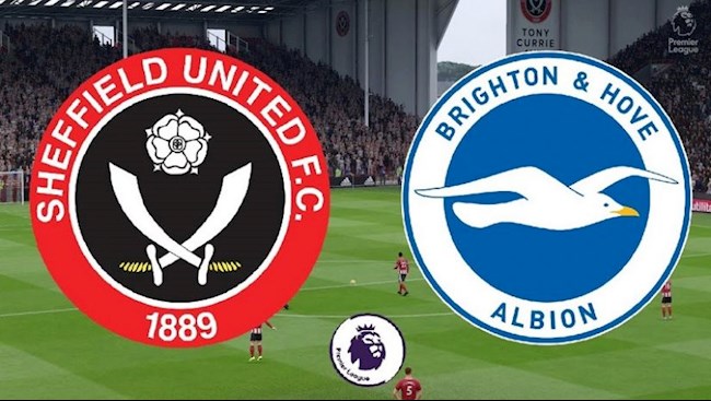 Sheffield vs Brighton