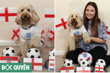 Chú chó thông minh nhất nước Anh dự đoán trận ra quân của Tam sư gặp Croatia