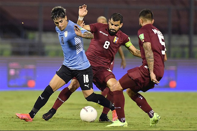 Venezuela là đội có số ca nhiễm COVID-19 nhiều nhất tại Copa America