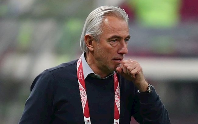 HLV Bert Van Marwijk UAE