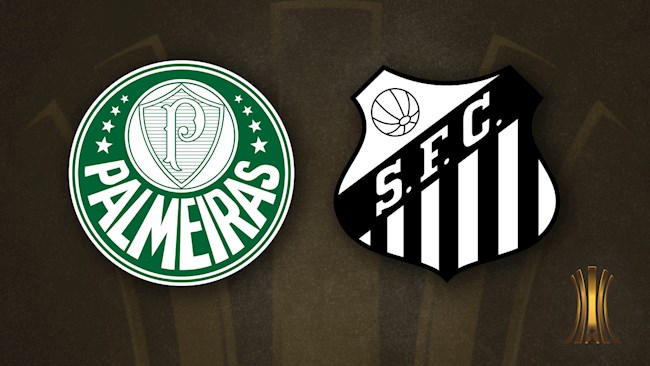 Palmeiras vs Santos