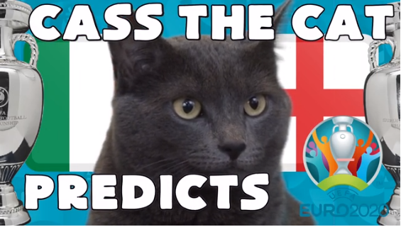 Mèo tiên tri dự đoán kết quả trận Italia vs Anh
