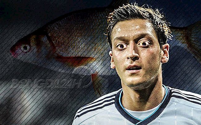 Perez chê Ozil là cá tráp