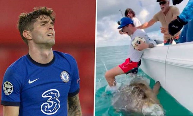 Dẫm đạp lên cá có nguy cơ tuyệt chủng, sao Chelsea bị chê hạ đẳng