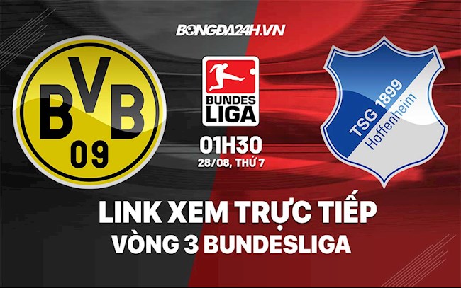 Link xem trực tiếp Dortmund vs Hoffenheim Bundesliga 2021 ở đâu ?