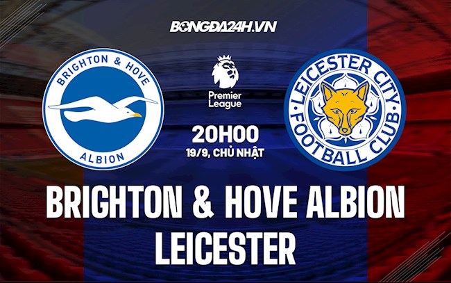 Nhận định bóng đá Brighton vs Leicester 20h00 ngày 19/9 (Ngoại hạng Anh 2021/22)