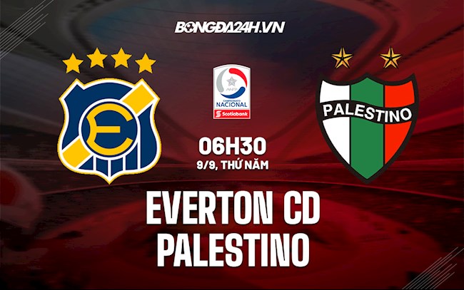 Everton CD vs Palestino