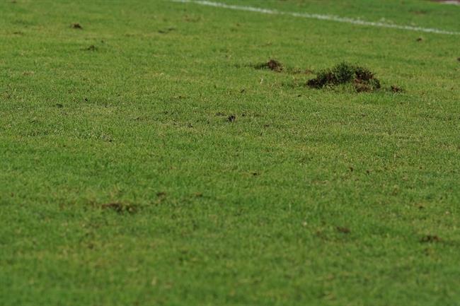 Nam dinh vs Ha Noi 26/6