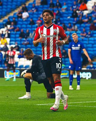 Che Adams