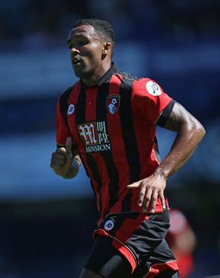 Callum Wilson