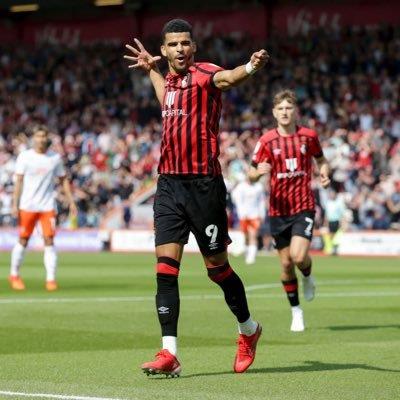 Dominic Solanke