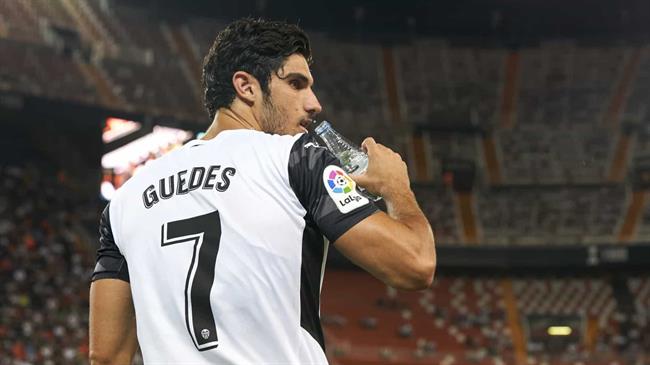 Goncalo Guedes