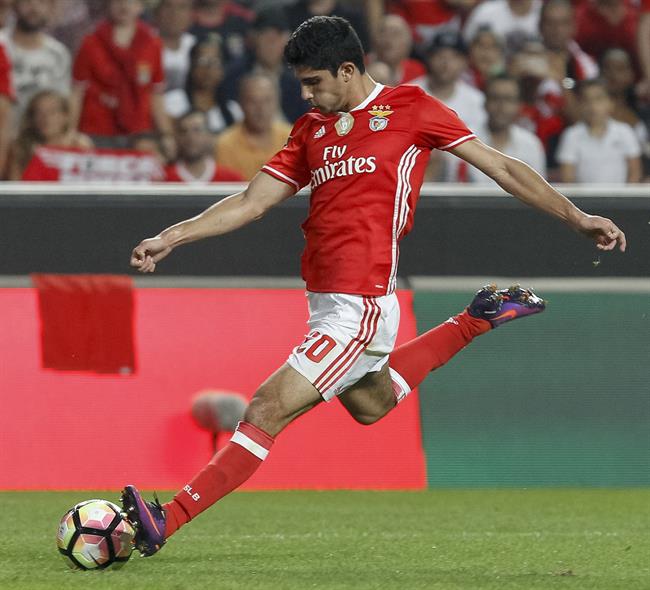 Goncalo Guedes