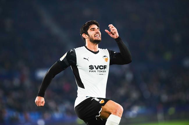 Goncalo Guedes