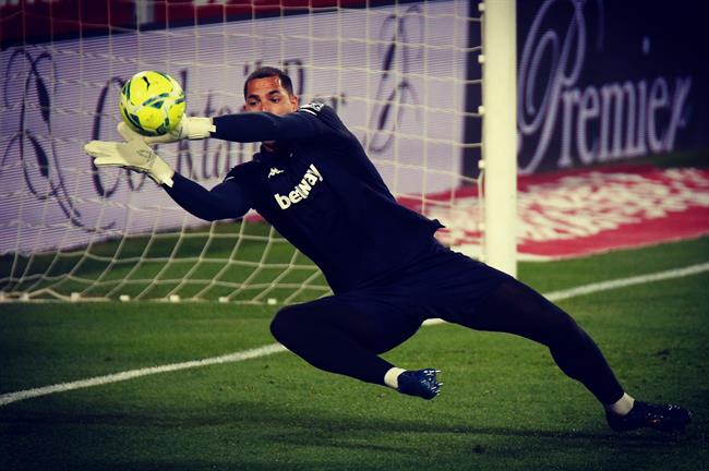 Joel Robles