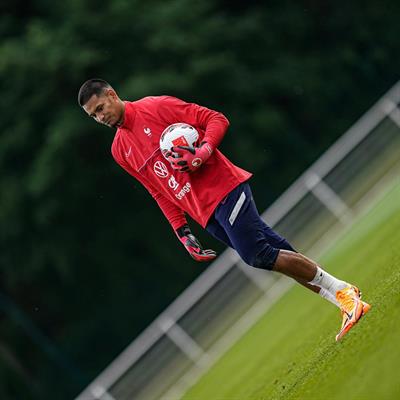 Alphonse Areola