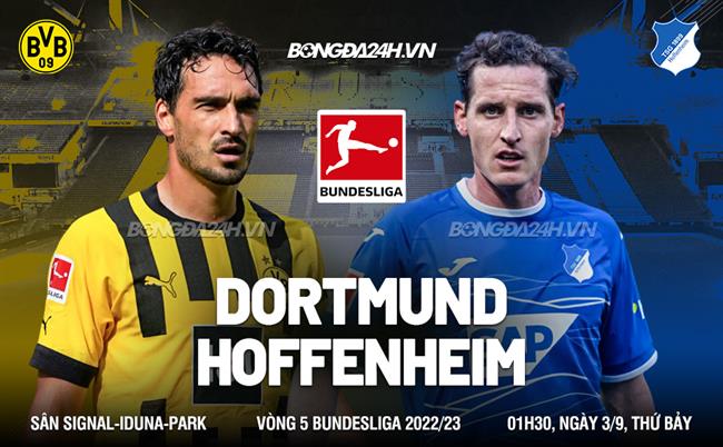 Dortmund vs Hoffenheim