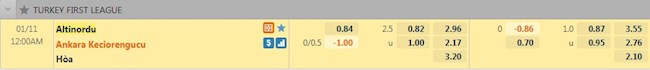 Tỷ lệ trận đấu Altinordu vs Keciorengucu