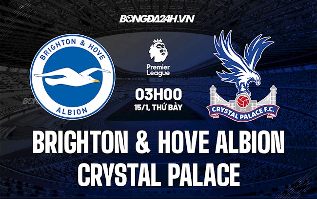 Brighton vs Palace