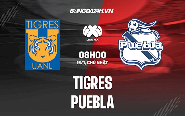 Soi kèo Tigres vs Puebla VĐQG Mexico Soi kèo Tigres vs Puebla VĐQG Mexico