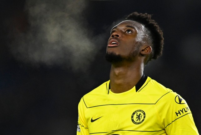 Hudson-Odoi bị chỉ trích sau trận hòa Brighton