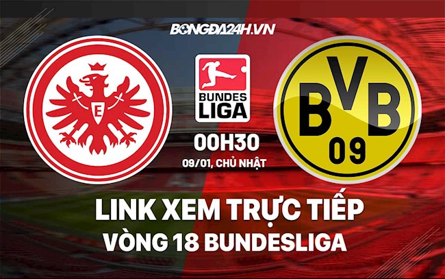 Link xem trực tiếp Frankfurt vs Dortmund vòng 18 Bundesliga 2022 ở đâu? frankfurt vs dortmund