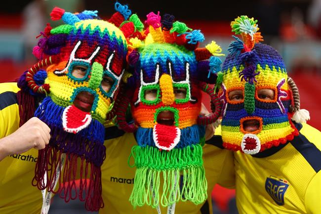 Cảm xúc trái ngược của CĐV sau trận đấu mở màn World Cup 2022 4 Cảm xúc trái ngược của CĐV sau trận đấu mở màn World Cup 2022 4