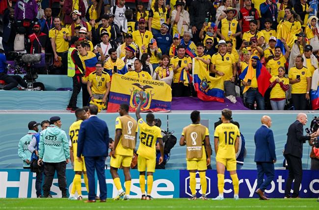 Cảm xúc trái ngược của CĐV sau trận đấu mở màn World Cup 2022 6 Cảm xúc trái ngược của CĐV sau trận đấu mở màn World Cup 2022 6