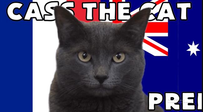 Mèo tiên tri dự đoán kết quả trận Pháp vs Úc Meo tien tri du doan ket qua tran Phap vs uc