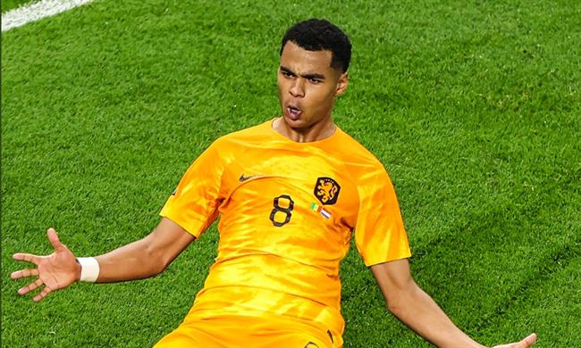 Khủng khiếp với phong độ của Cody Gakpo