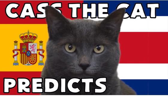 Mèo tiên tri dự đoán kết quả trận Tây Ban Nha vs Costa Rica Meo tien tri du doan ket qua tran Tay Ban Nha vs Costa Rica