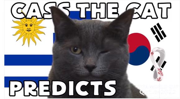 Mèo tiên tri dự đoán kết quả trận Hàn Quốc vs Uruguay Meo tien tri du doan ket qua tran Han Quoc vs Uruguay