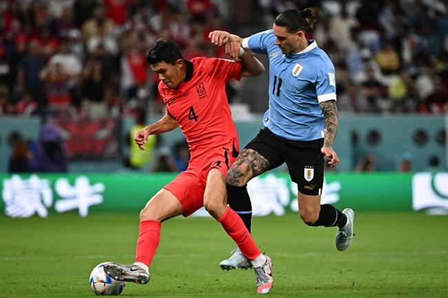 Đẳng cấp hậu vệ số 1 châu Á của Kim Min Jae trước Uruguay 2