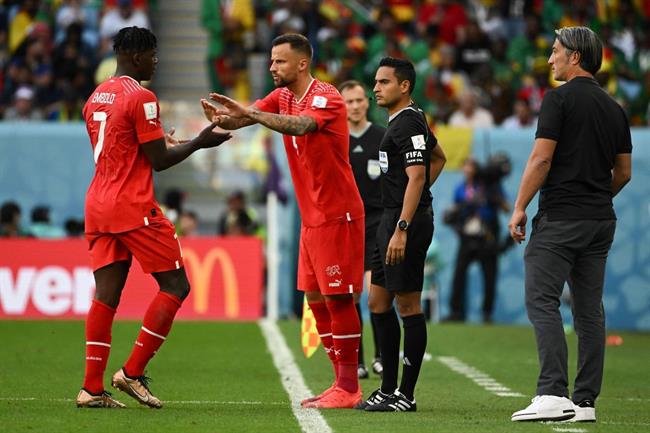 ĐT Cameroon thất bại trước Thụy Sĩ bởi cầu thủCameroon 8 ĐT Cameroon thất bại trước Thụy Sĩ bởi cầu thủCameroon 8