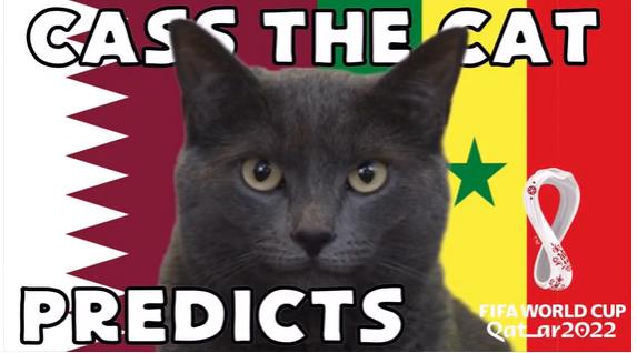 Meo tien tri du doan ket qua tran Qatar vs Senegal