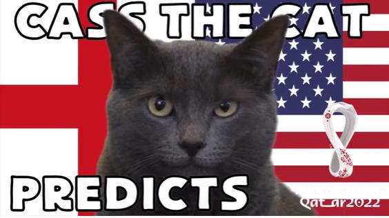 Du doan cua meo tien tri ve ket qua tran Anh vs My