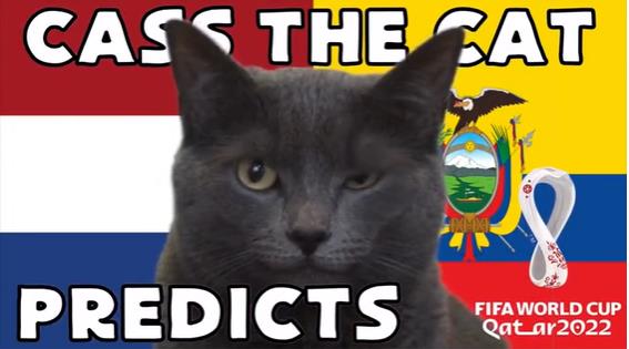 Meo tien tri du doan the nao ve tran Ha Lan vs Ecuador?