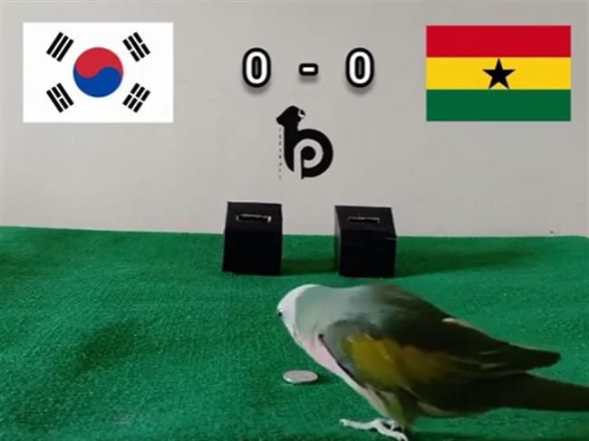 Han Quoc vs Ghana