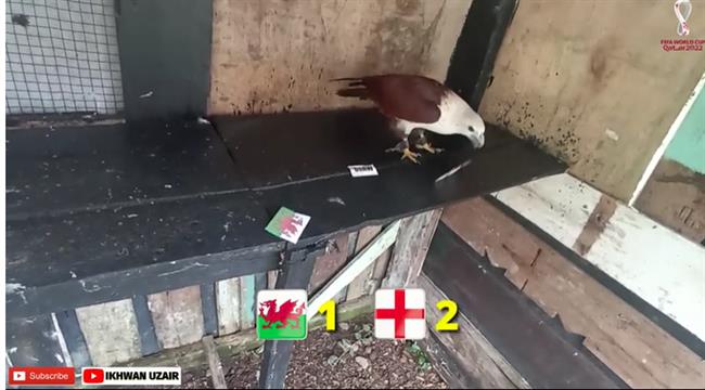 dai bang du doan Anh danh bai xu Wales 2-1